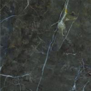 Gạch Trường Thịnh MARMI PLUS BJ88067LEV-R